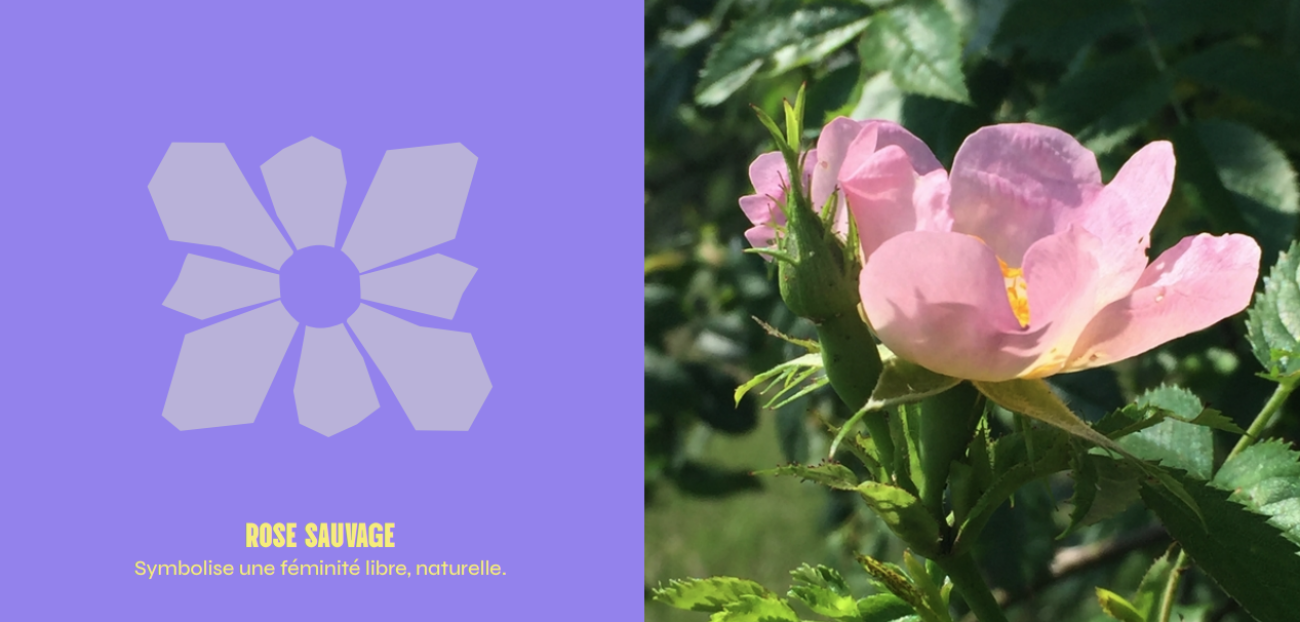 Illustration du projet P'tite Lumière & Cie